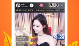 番茄直播和91,探索直播行业的创新与融合